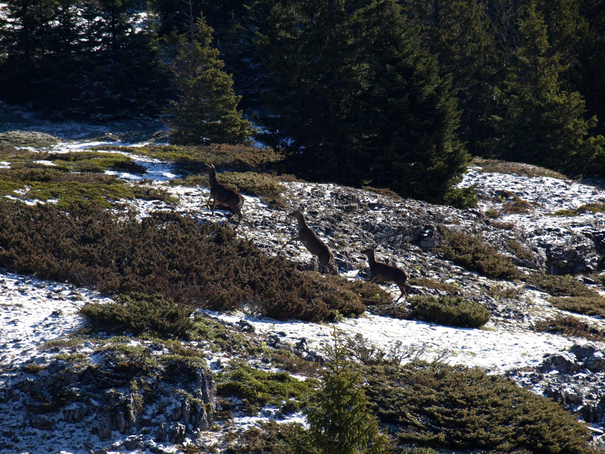 Maison Forestière De La Coche
